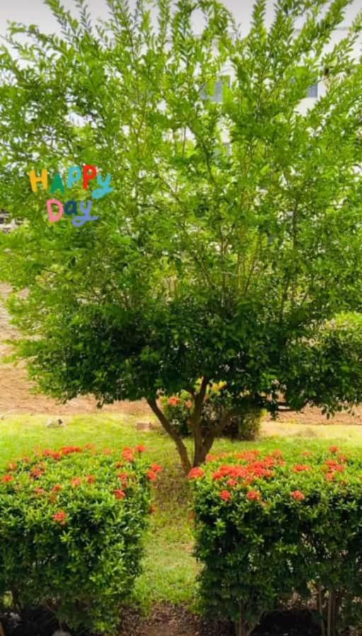 Apartamento, Zona Leste, Otima Localizacao. Teresina Eksteriør bilde